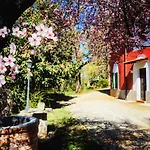 The Mansion House Capannina 3*