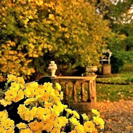 The Mansion House Villa Capannina *