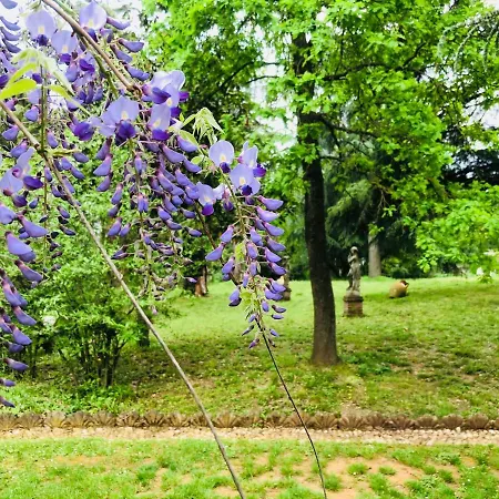 The Mansion House Capannina 3*