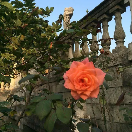 Bed & Breakfast The Mansion House Villa Capannina Novi Ligure